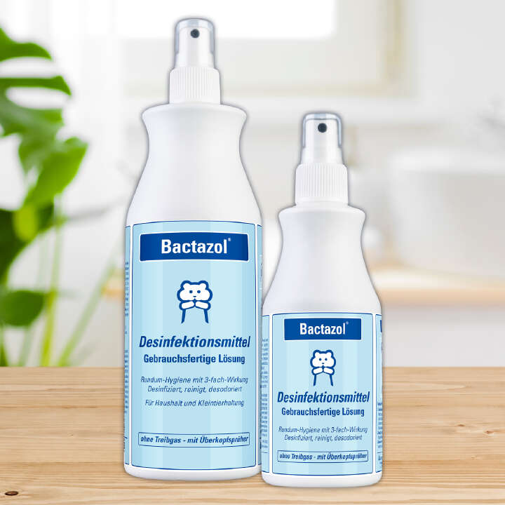 Bactazol Desinfektionsmittel